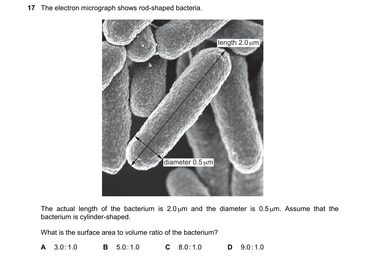Question 17 from 9700/12/O/N/24