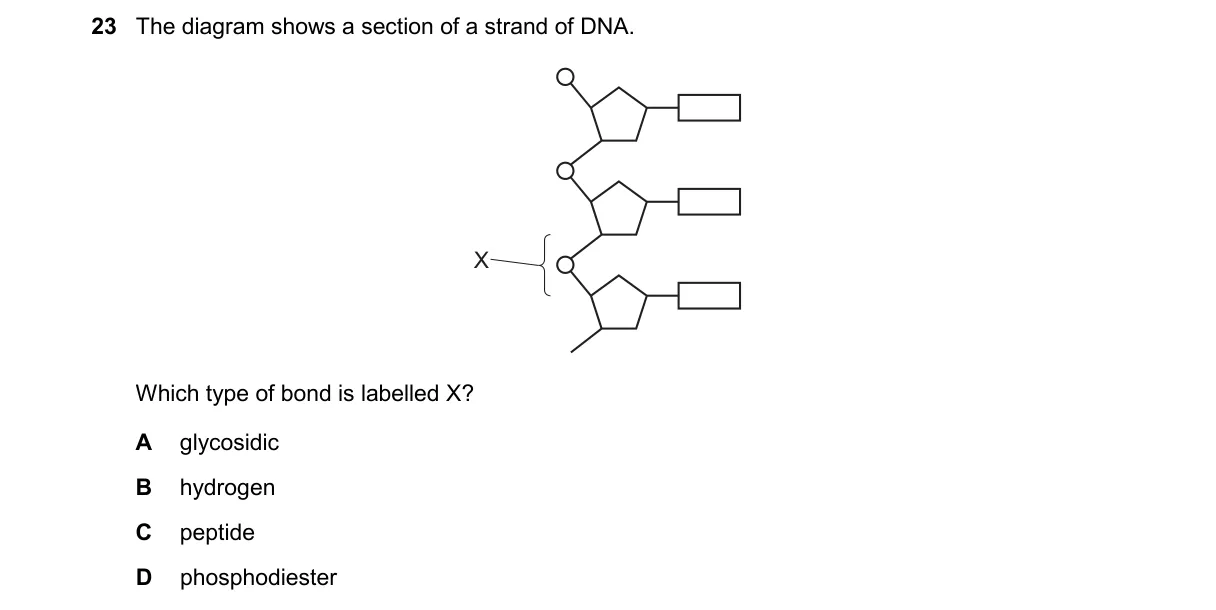Question 23 from 9700/12/O/N/24