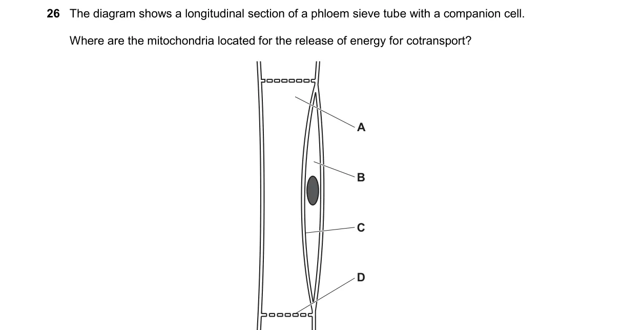 Question 26 from 9700/12/O/N/24