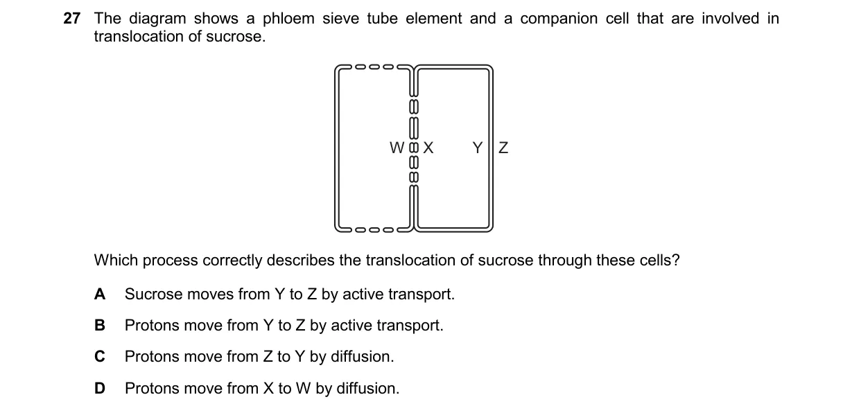 Question 27 from 9700/12/O/N/24