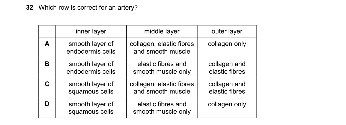Question 32 from 9700/12/O/N/24