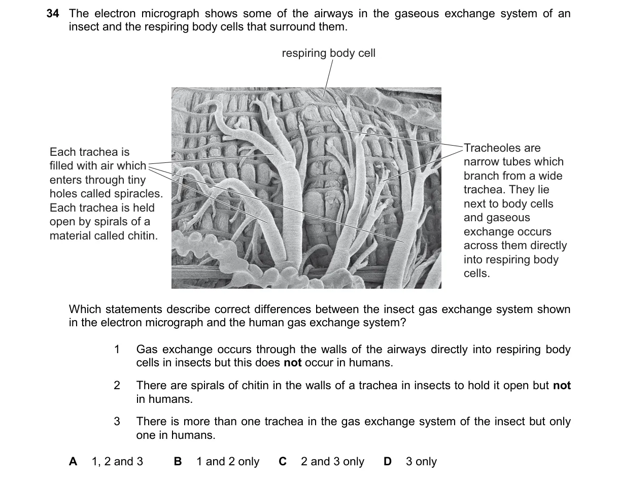 Question 34 from 9700/12/O/N/24