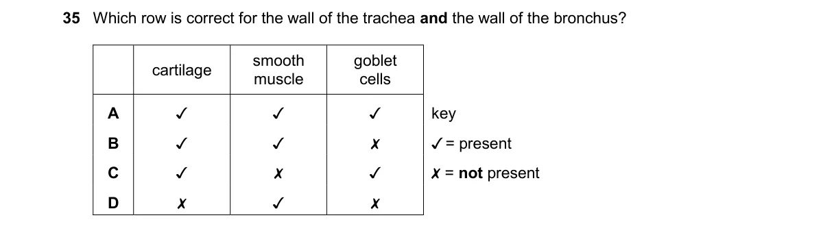 Question 35 from 9700/12/O/N/24