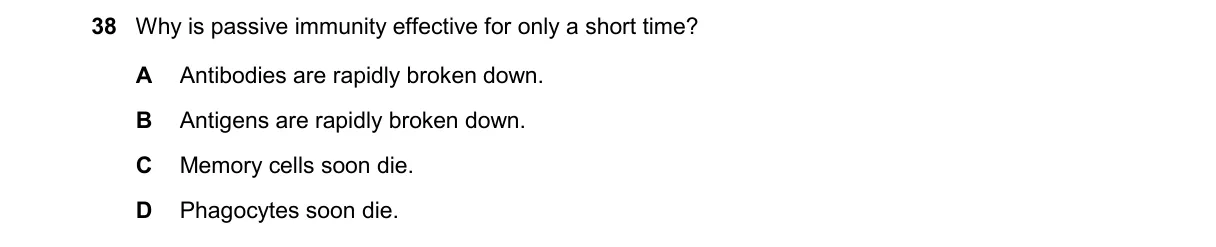 Question 38 from 9700/12/O/N/24