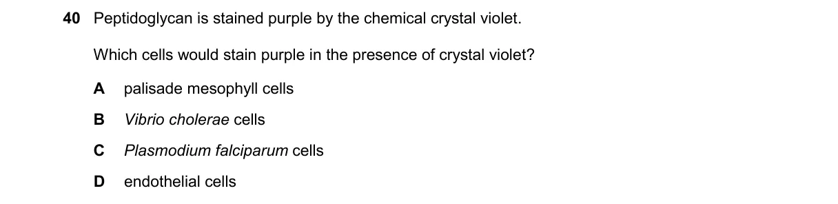 Question 40 from 9700/12/O/N/24