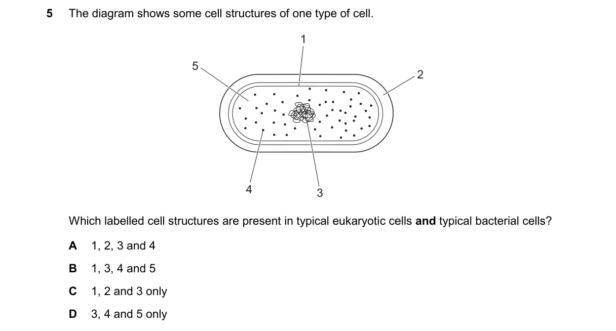 Question 5 from 9700/12/O/N/24