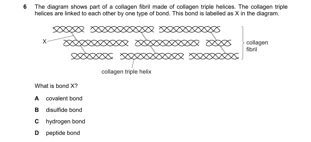Question 6 from 9700/12/O/N/24