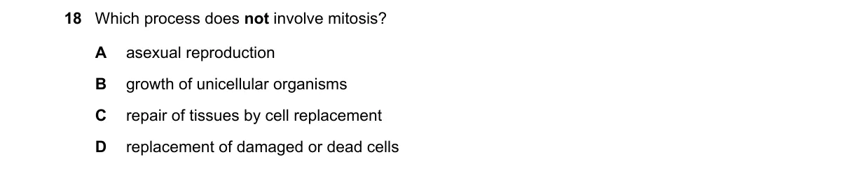 Question 18 from 9700/13/O/N/24