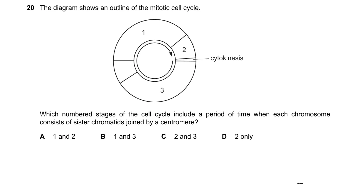 Question 20 from 9700/13/O/N/24