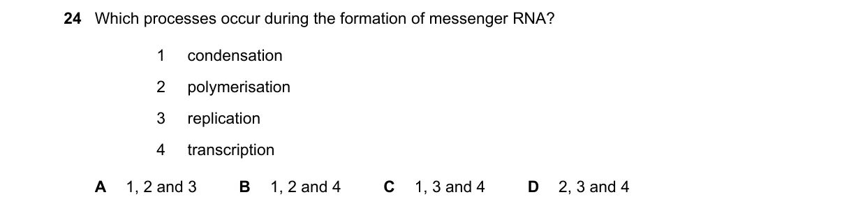 Question 24 from 9700/13/O/N/24
