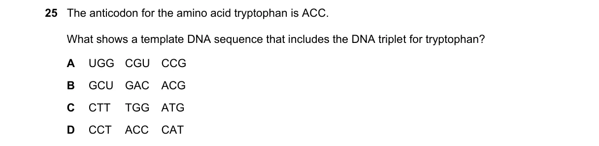 Question 25 from 9700/13/O/N/24