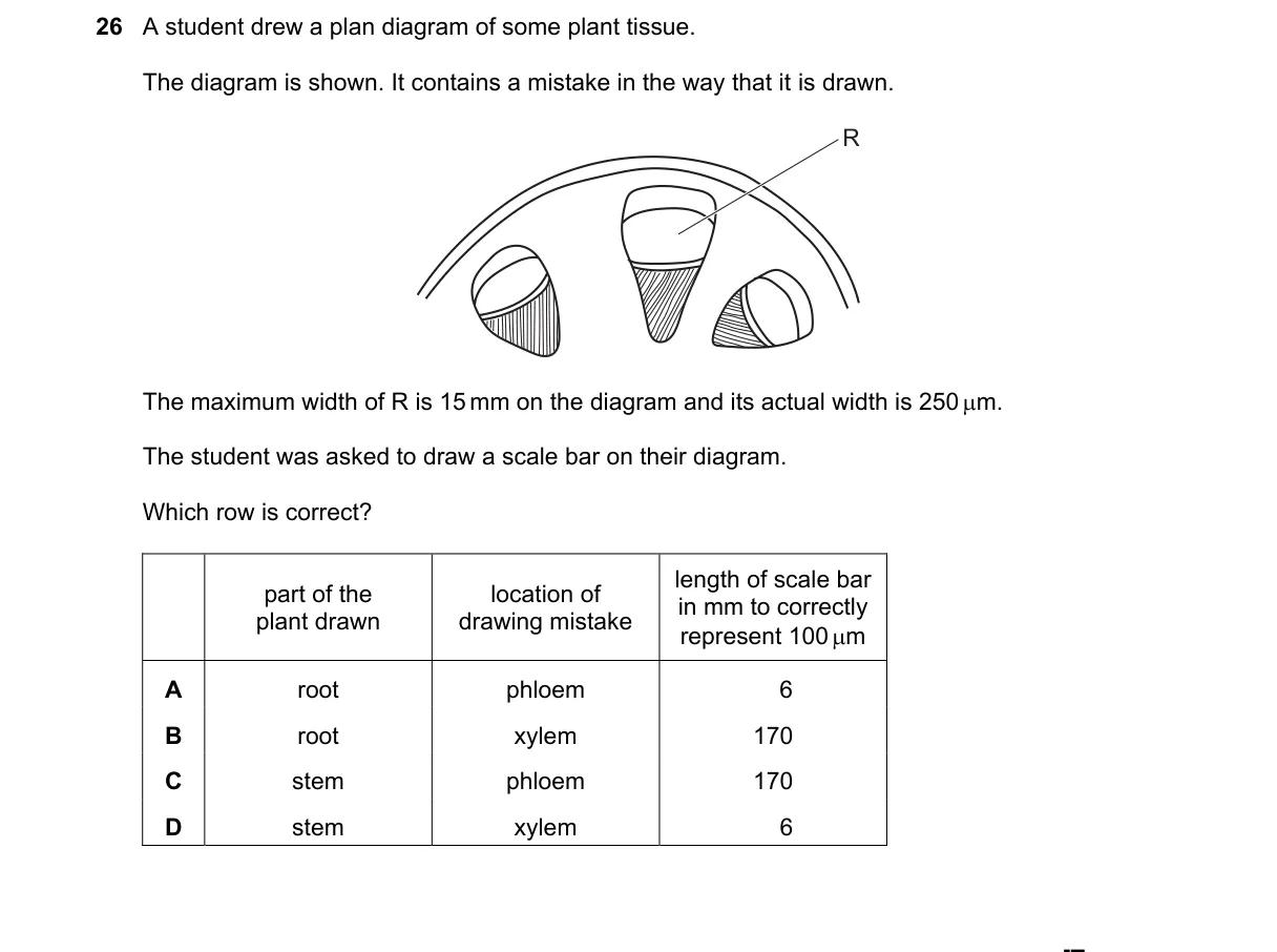 Question 26 from 9700/13/O/N/24