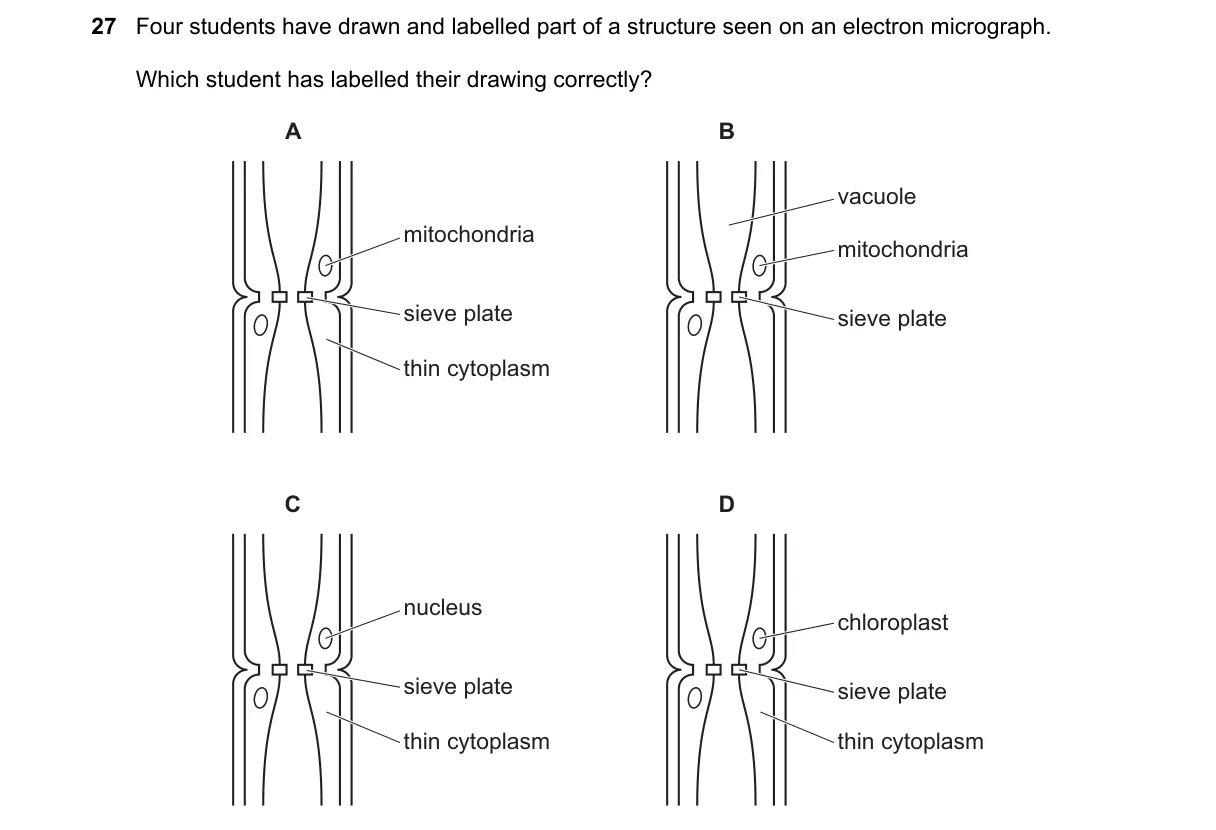 Question 27 from 9700/13/O/N/24
