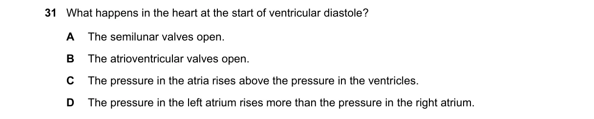 Question 31 from 9700/13/O/N/24