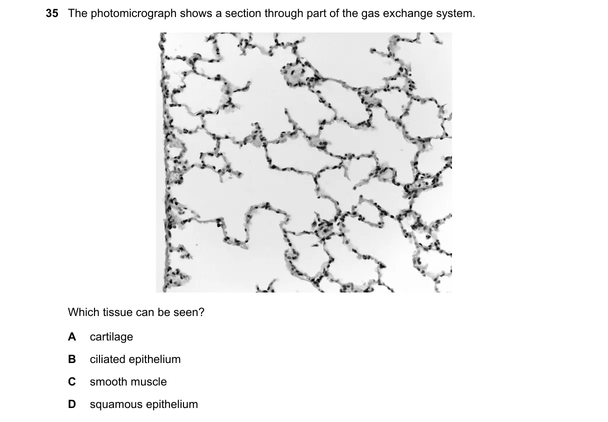 Question 35 from 9700/13/O/N/24