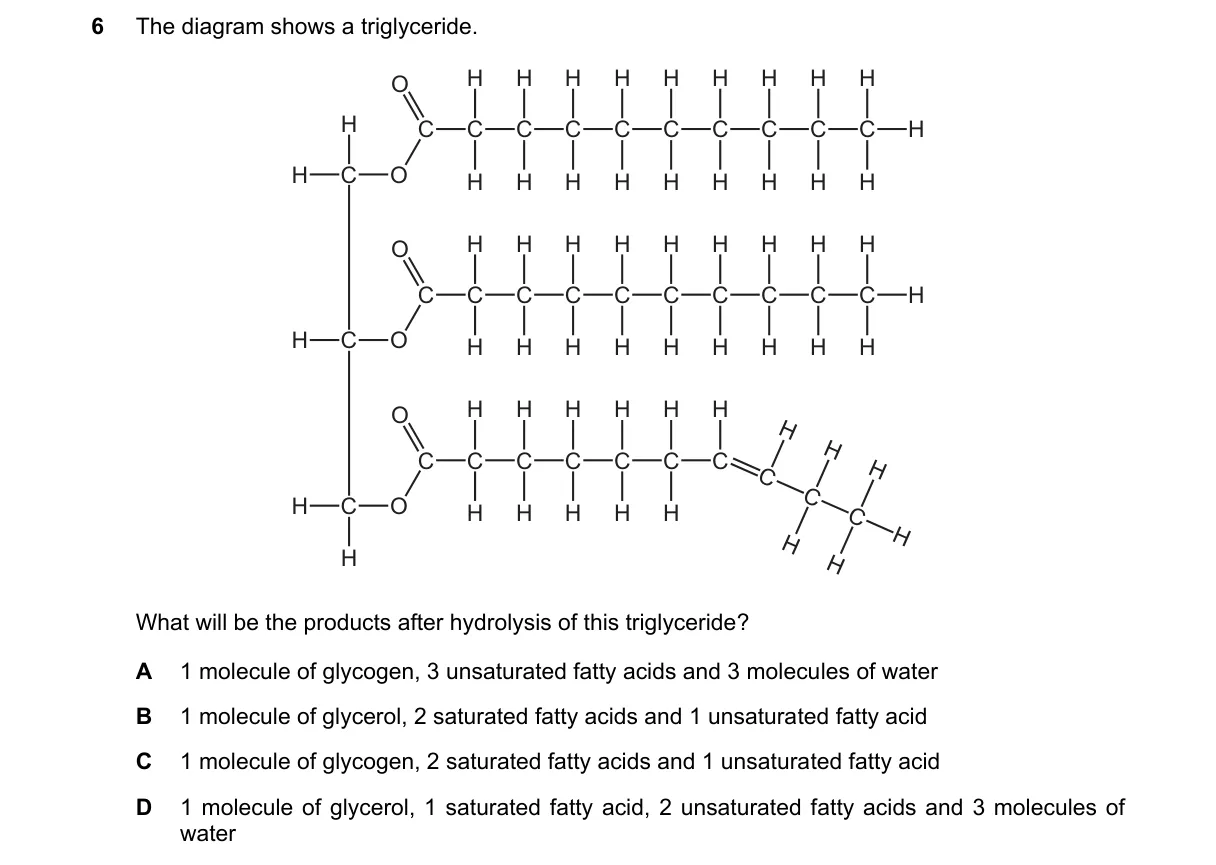 Question 6 from 9700/13/O/N/24