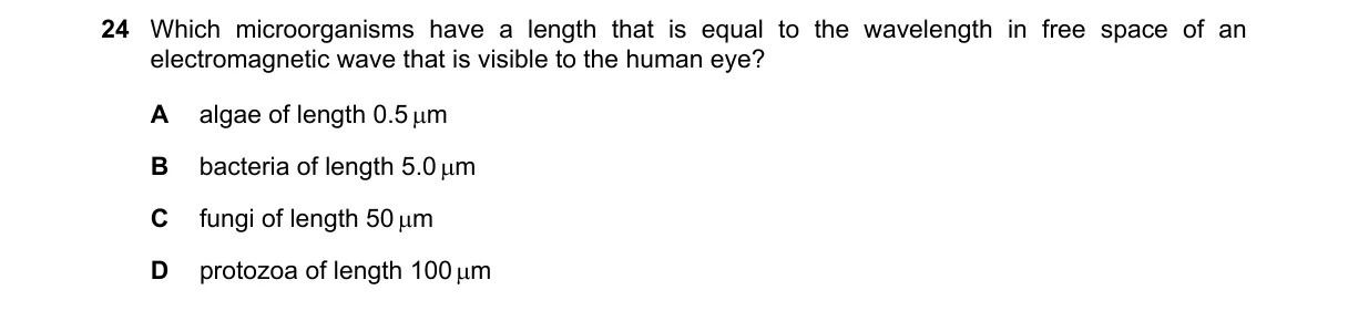 Question 24 from 9702/13/O/N/22